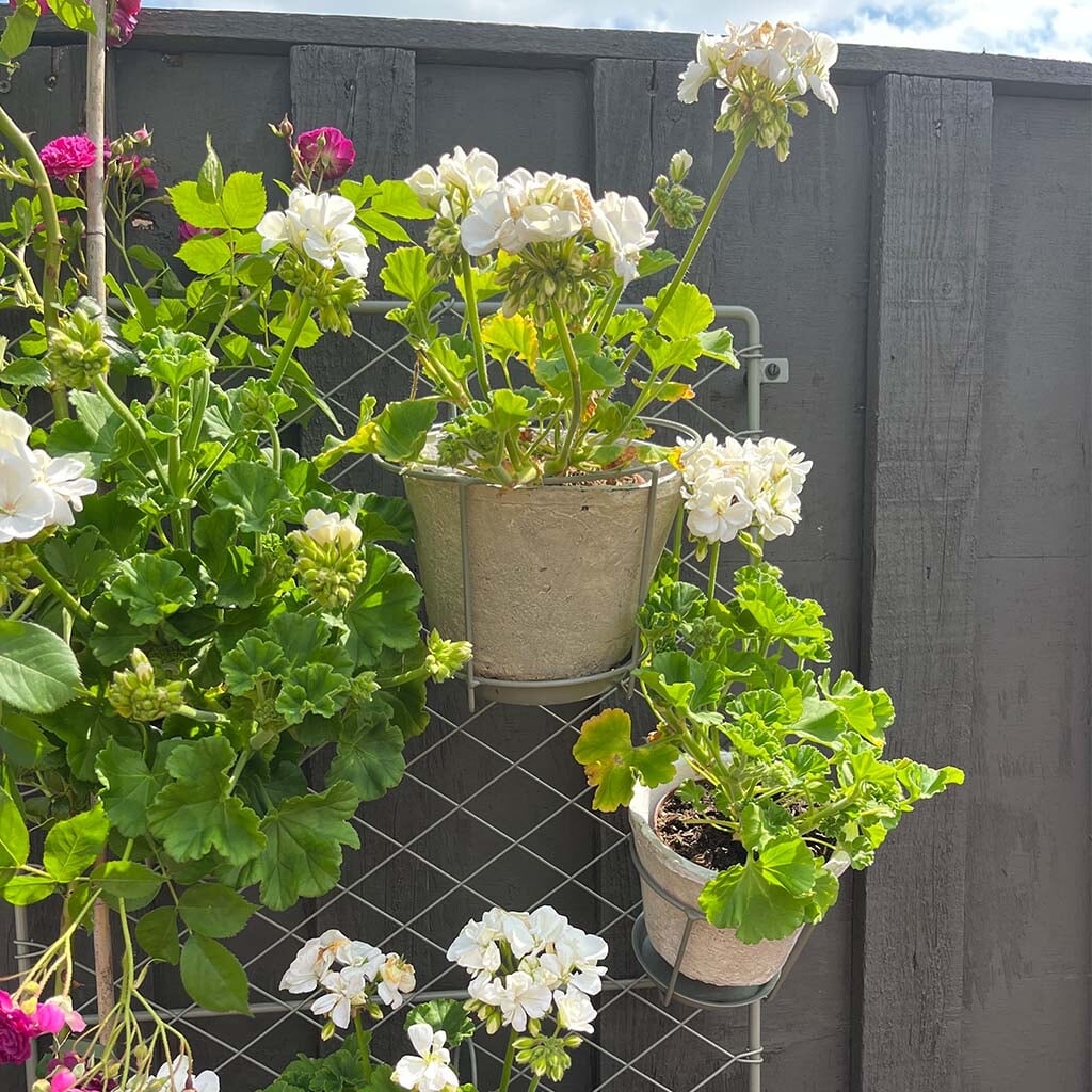 Antiqued Whitestone Plant Pot - Image 5