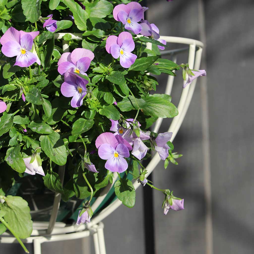 Basket Obelisk - Image 6