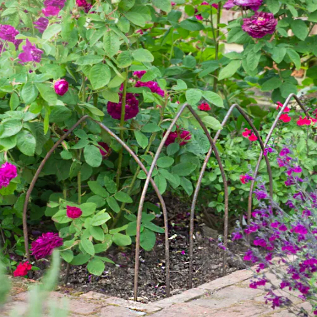 Round Border Edging Hoops (Pack of 6) - Image 4