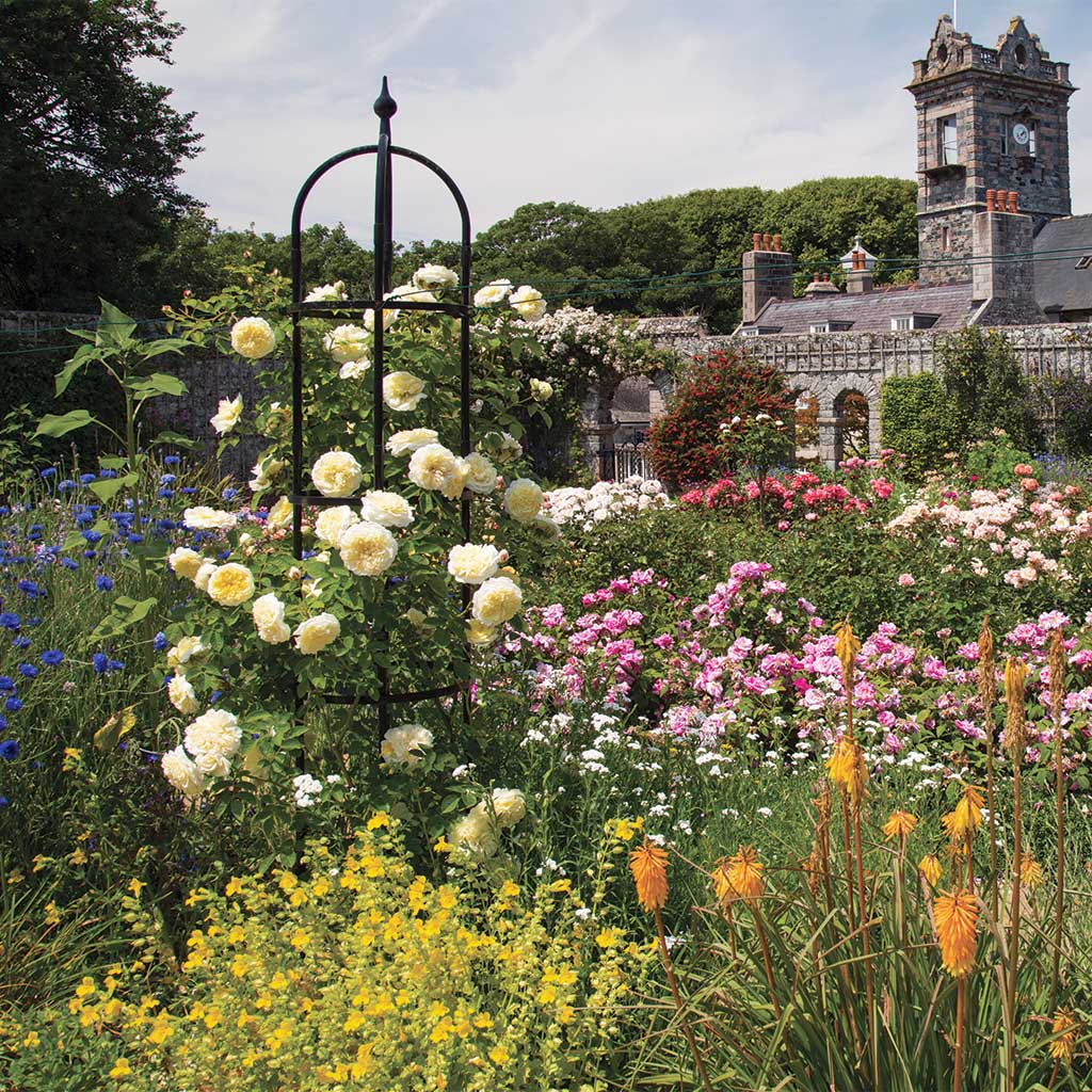 Classic Obelisk - Image 3