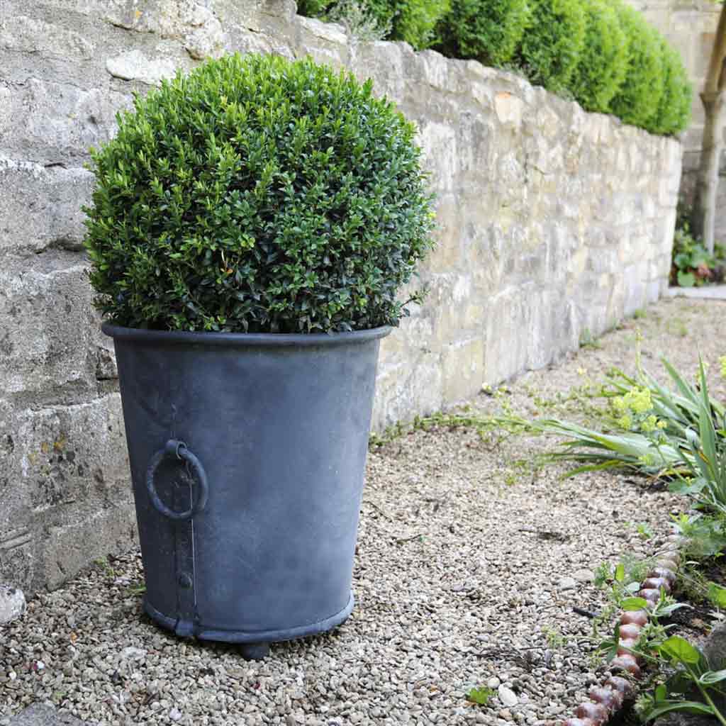 Classic Zinc Planter - Image 5