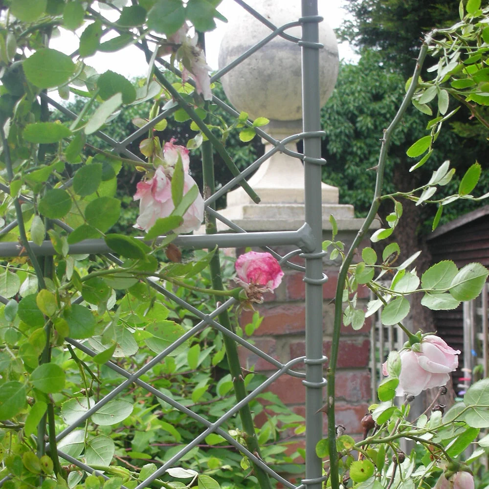 Elegance Door Arch - Image 3