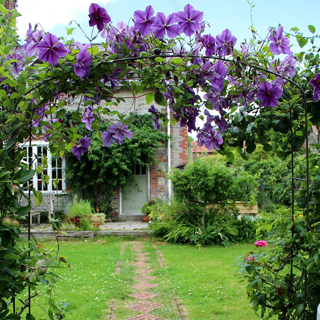 Elegance Fine Arch - Image 3