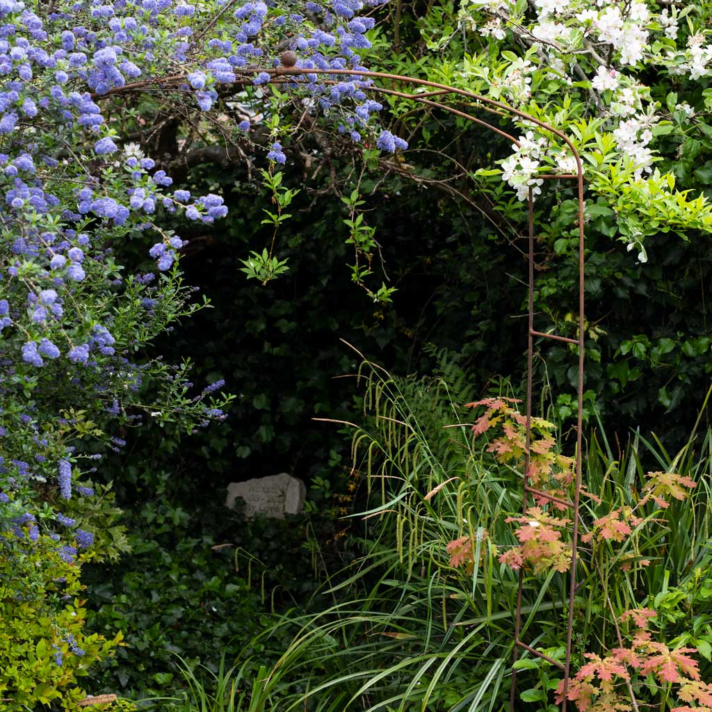 Elegance Fine Arch - Image 5