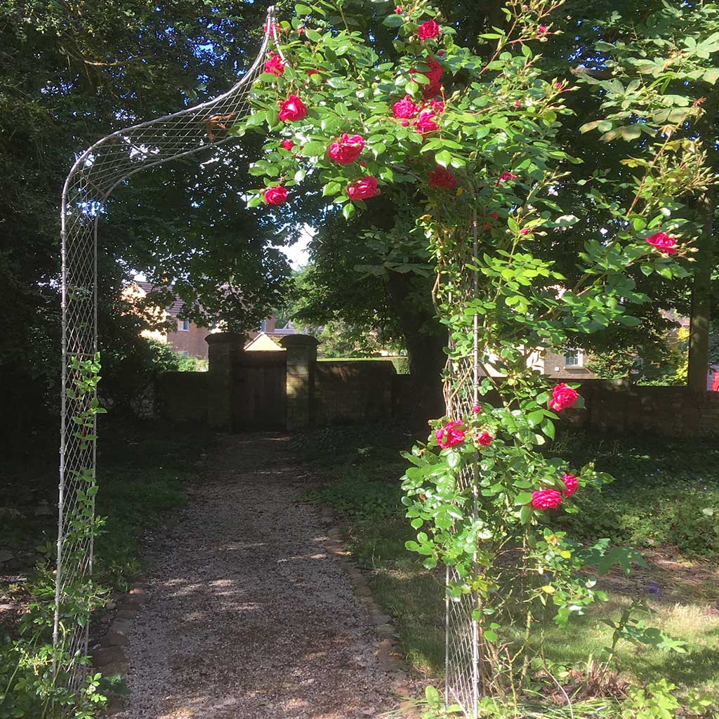 Elegance Gothic Arch - Image 4