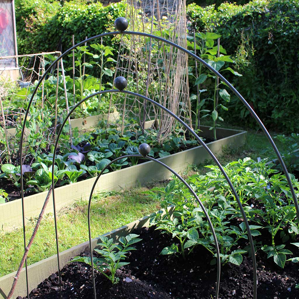 Elegance Hooped Cloche - Image 6