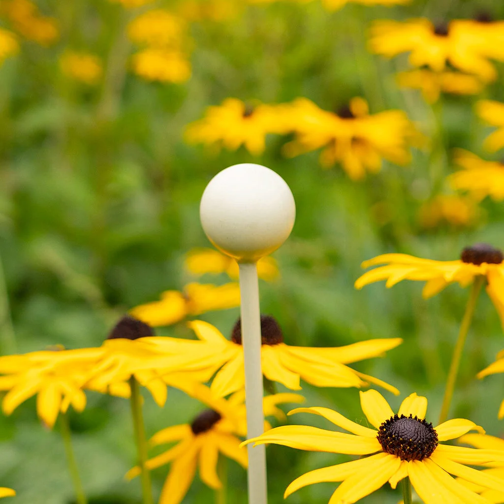 Elegance Plant Stakes - 4 Pack - Image 4