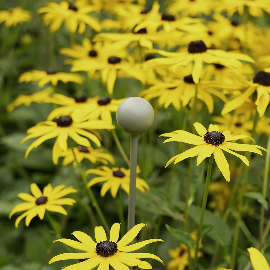 Elegance Plant Stakes - 4 Pack - Image 5