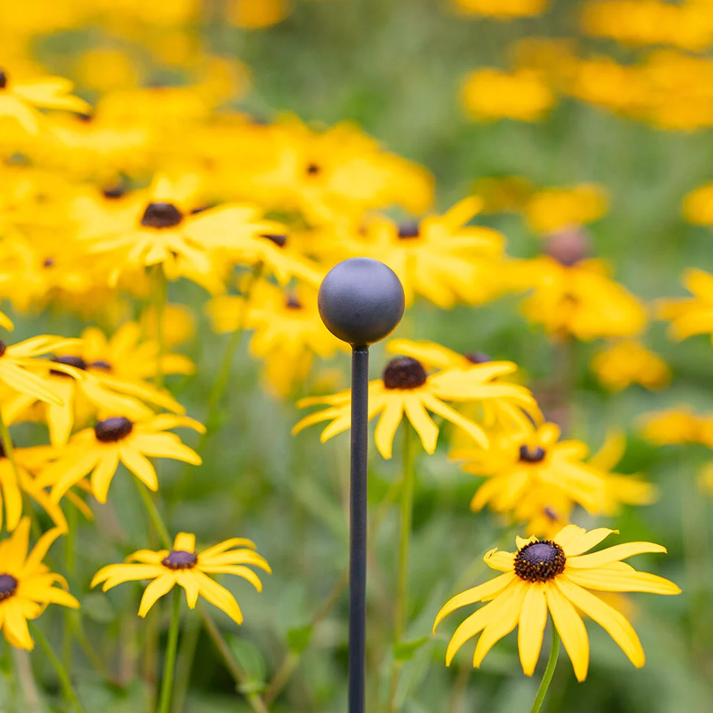 Elegance Plant Stakes - 4 Pack - Image 6