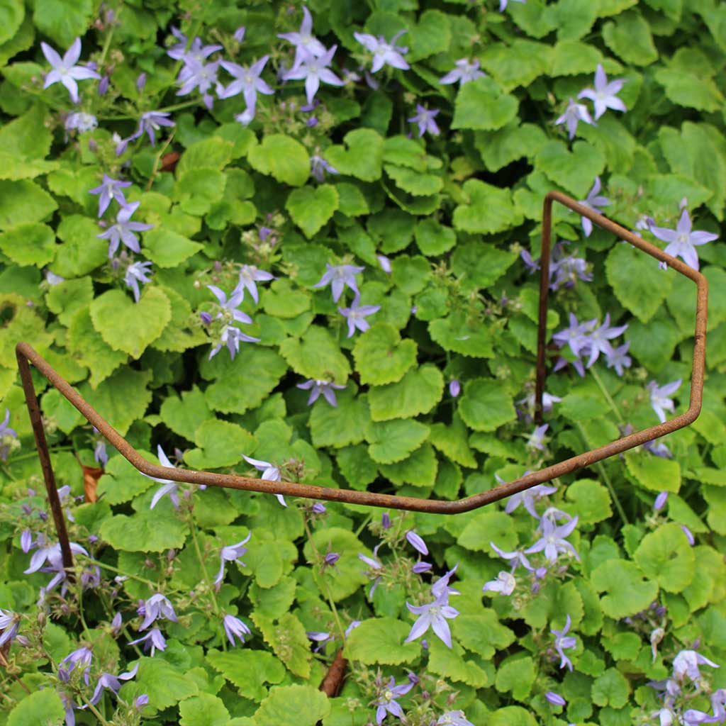 Elegance Plant Support - Image 5