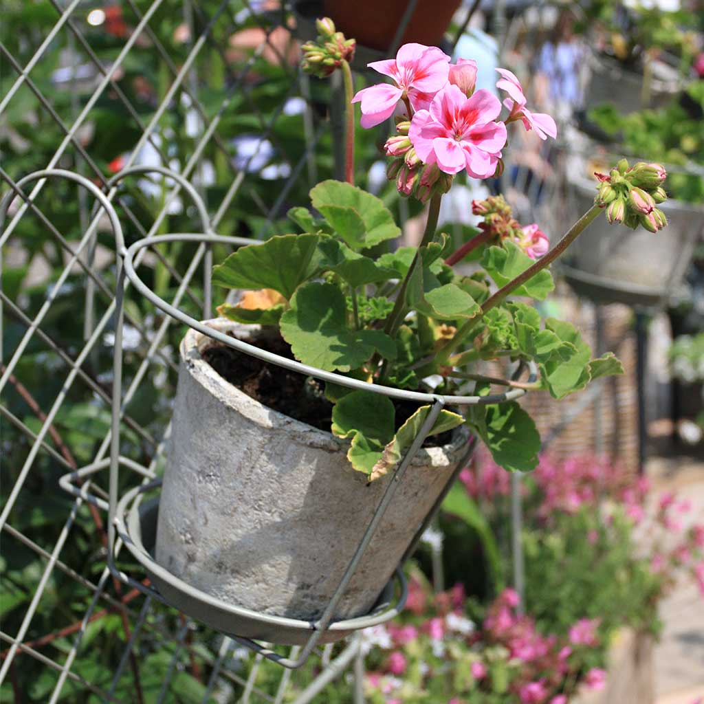 Elegance Pot Holder - Image 3