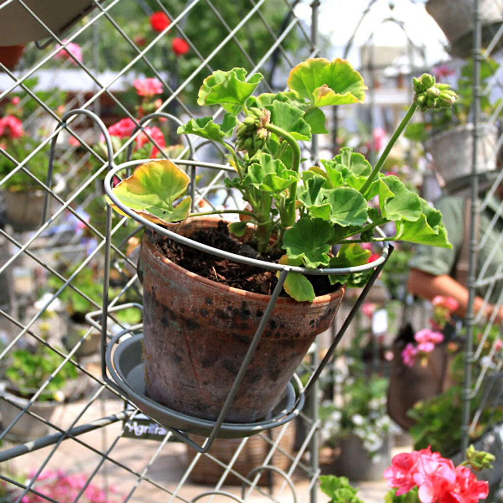 Elegance Pot Holder - Image 5