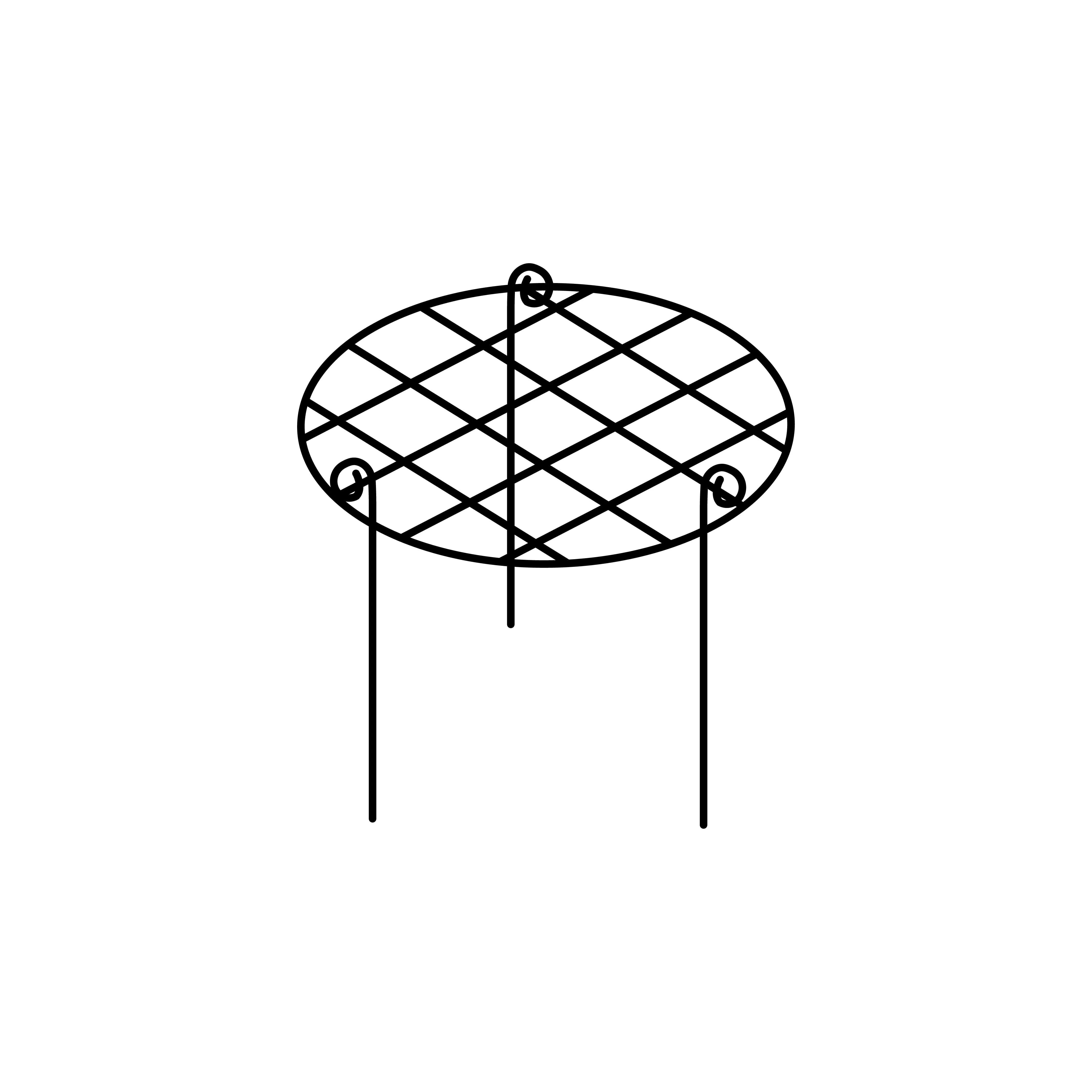 Elegance Round Grow Through Frame - Image 4