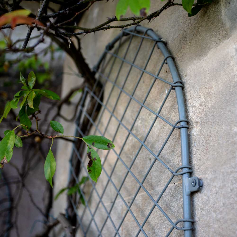 Elegance Round Trellis - Image 4