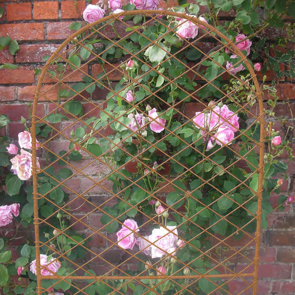 Elegance Round Trellis - Image 5