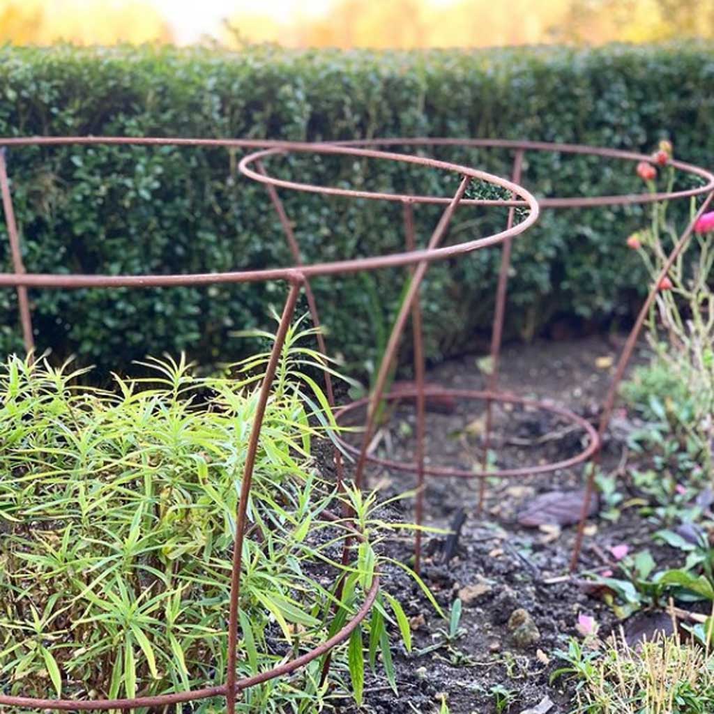 Fluted Peony Support - Image 4