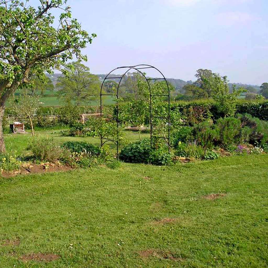 Fruit Tree Arch - Image 5