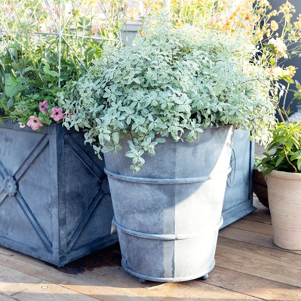 Classic Hooped Zinc Planter - Image 4