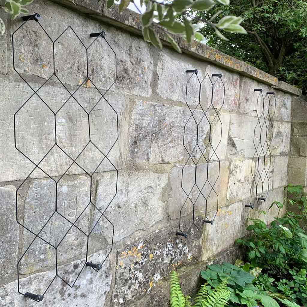 Lattice Wall Trellis - Image 3