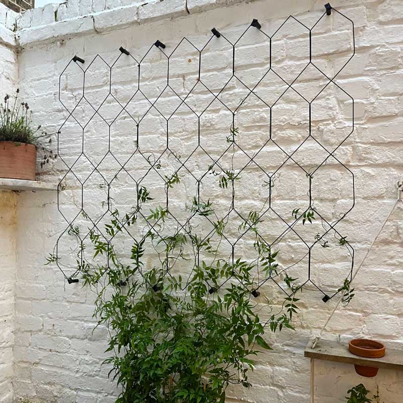 Lattice Wall Trellis - Image 5