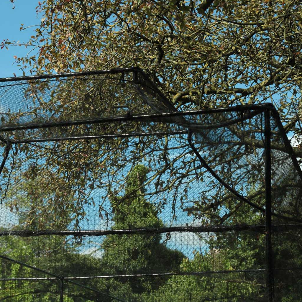 Monet Roof Fruit Cage - Image 3