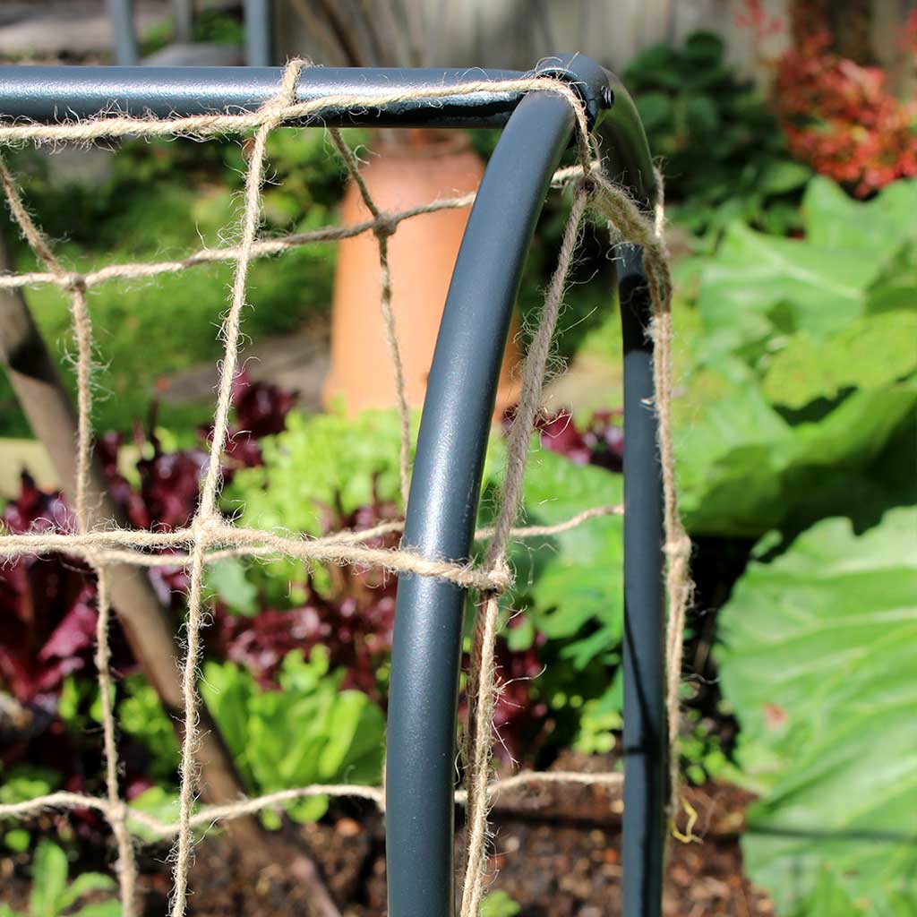 Pea & Bean Hoops - Image 7