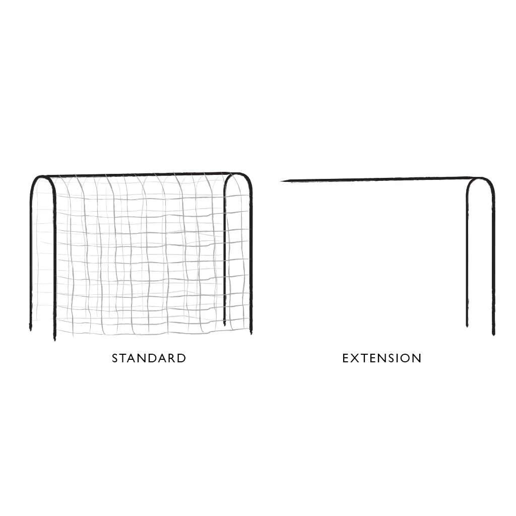 Pea & Bean Hoops - Image 8