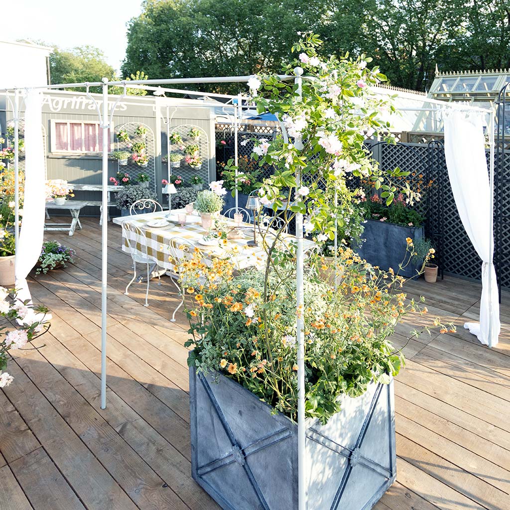 Provence Pergola - Image 3