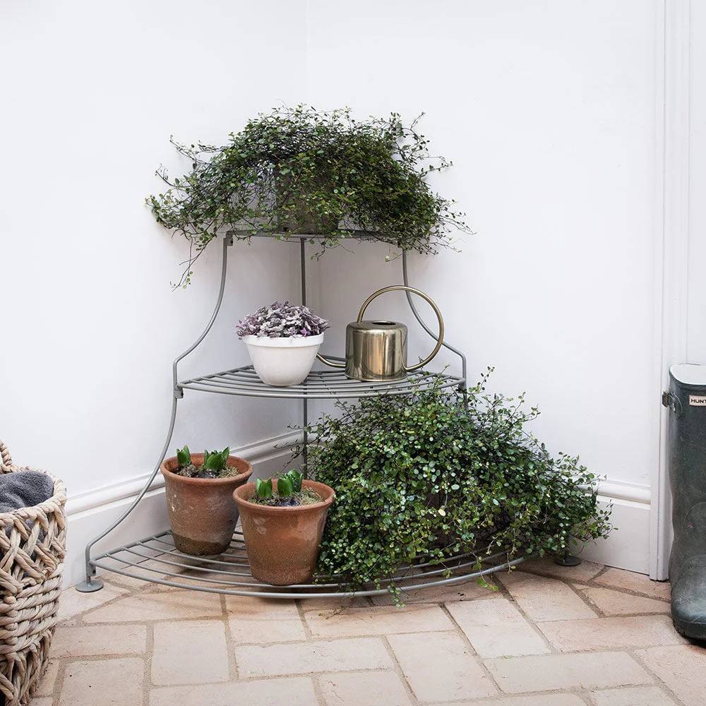 Quadrant Tiered Plant Stand - Image 3