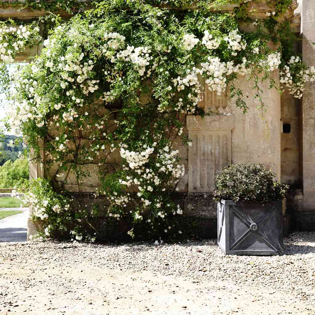 Regency Zinc Planter - Image 3