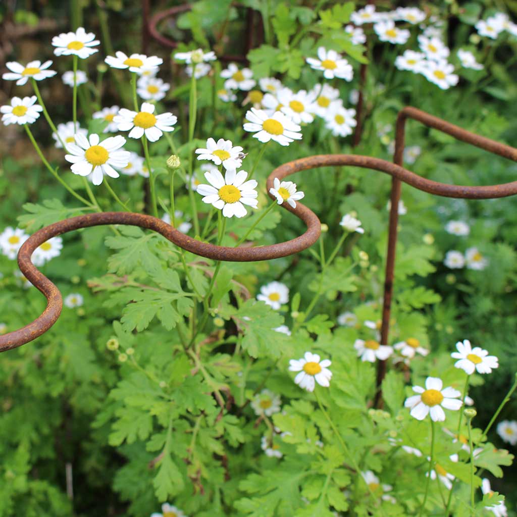 Elegance Ripple Plant Supports - Rustic - Image 3