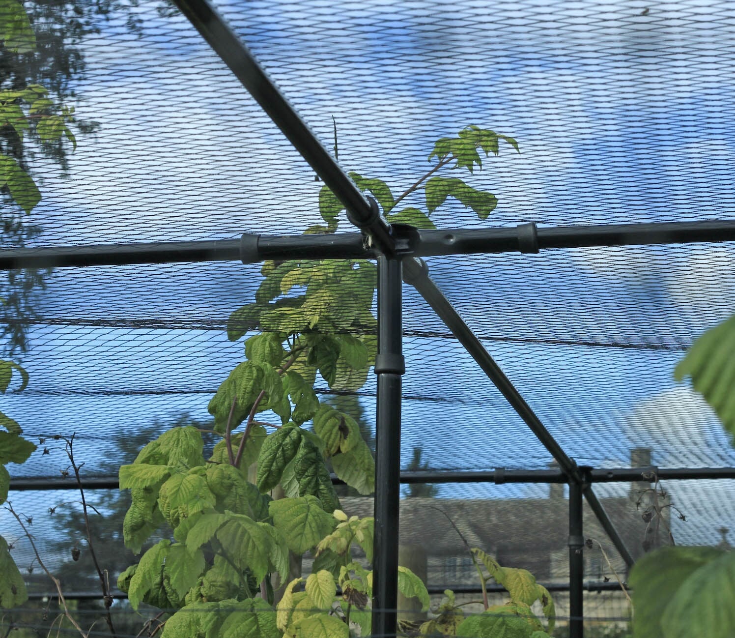 Superior Fruit Cage - Traditional Matt Black - Image 9
