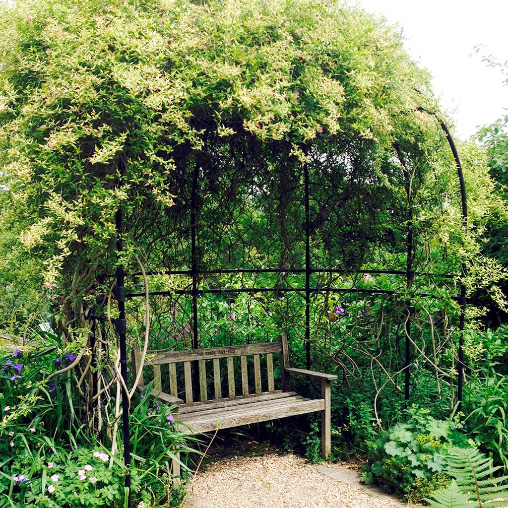 Sussex Arbour - Image 3