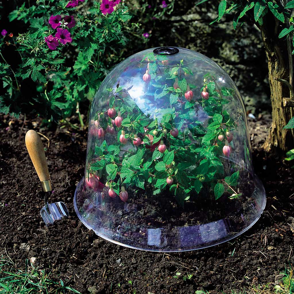 Victorian Bell Cloche - Image 4