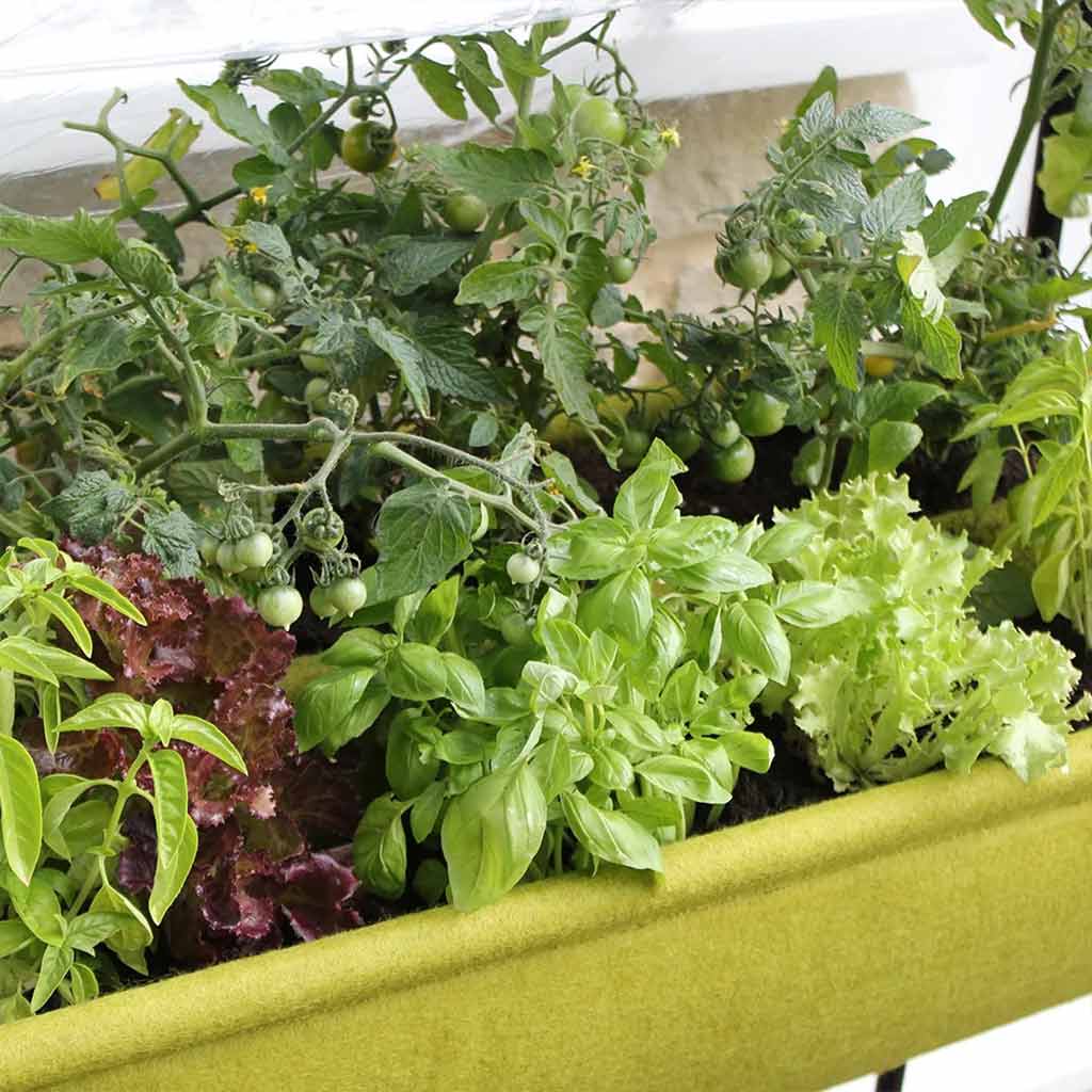 Vigoroot Easy Table Garden - Image 3